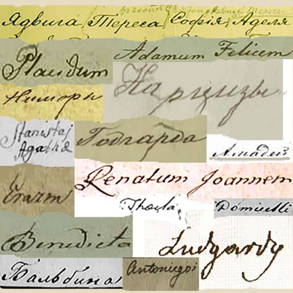 Vardai lotynų, lenkų, rusų, lietuvių kalbomis