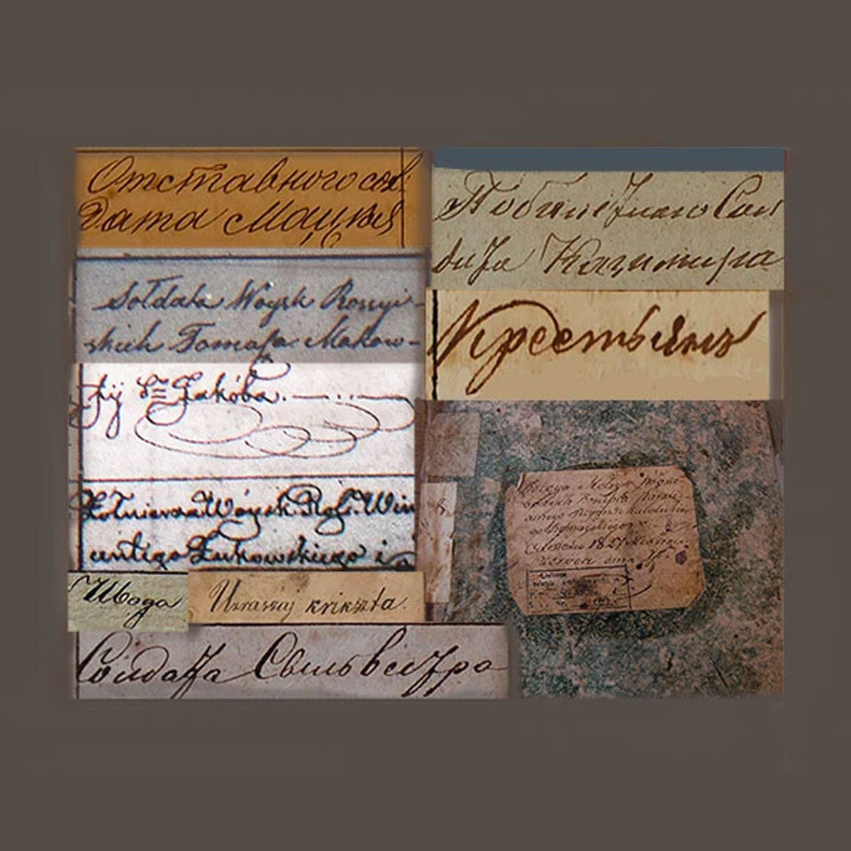 Istoriniai terminai ir genealogija