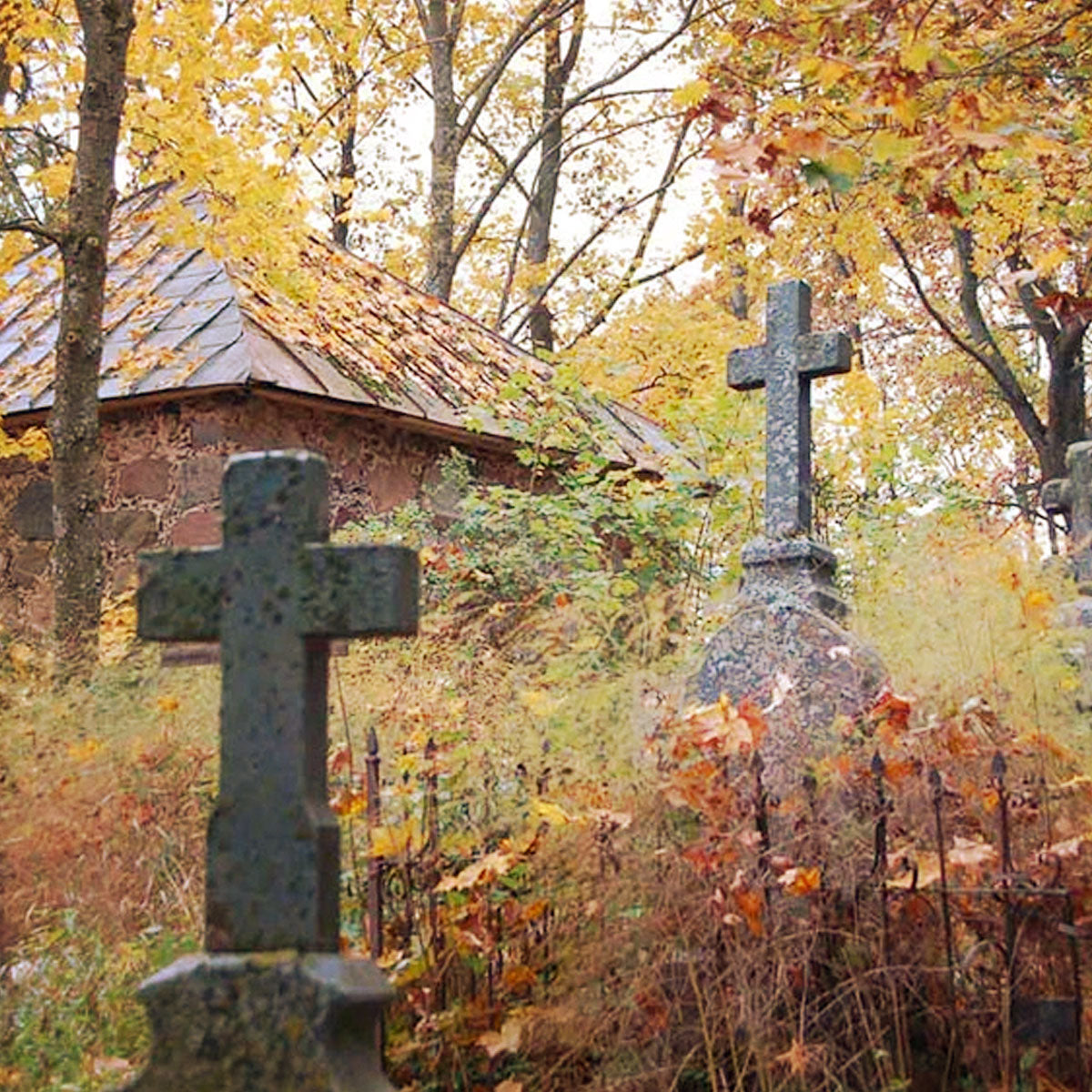 Genealogija ir kapinės
