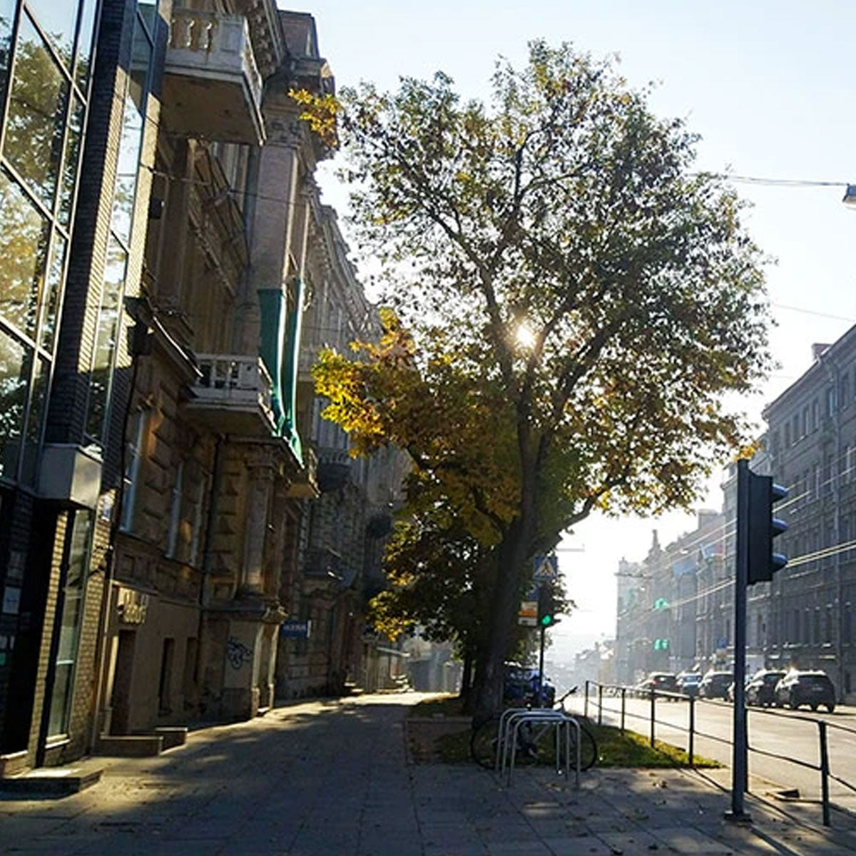 Genealogijos sėkmė. Kai nusišypso rytas.